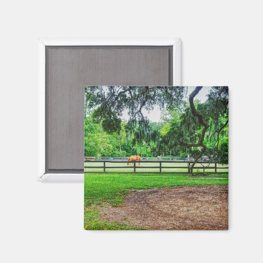 Aimant Tablettes Boone Hall (Recto/Verso)