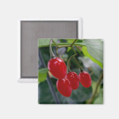 Aimant Taches rouges d'automne (Recto/Verso)