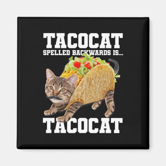 Aimant Taco Chat Écrit À L'Arrière Est Tacocat Mème Silly (Devant)