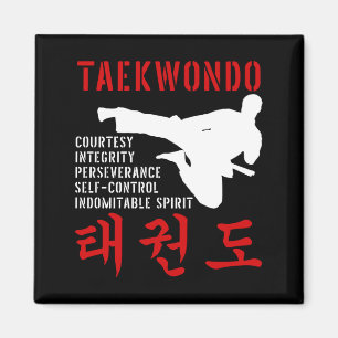 Aimant Taekwondo Tenets Martial Arts