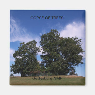 AIMANT TAILLIS DES ARBRES