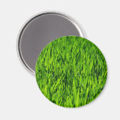 Aimant Tall Blades of Grass (Recto/Verso)