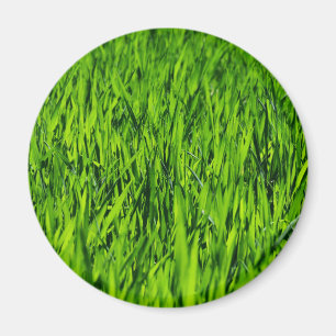 Aimant Tall Blades of Grass
