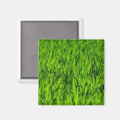 Aimant Tall Blades of Grass (Recto/Verso)