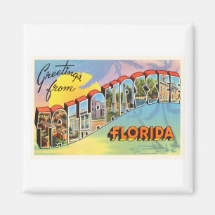 Aimant Tallahassee Floride FL Vieux souvenir Vintage voya