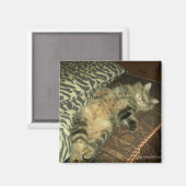 Aimant Tambour rhum (Recto/Verso)