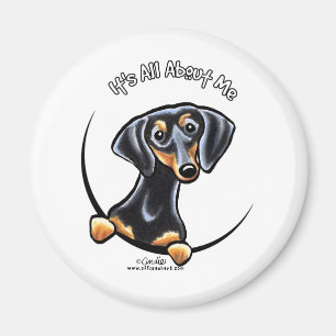 Aimant Tan Noir Dachshund C'Est Tout Sur Moi