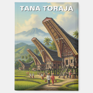 Aimant Tana Toraja Indonésie Voyage