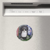 Aimant Tanukisan2, j'attends, j'attends (In Situ (Lave-vaisselle))