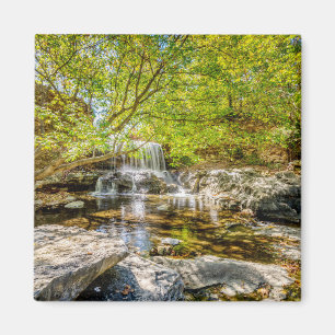 Aimant Tanyard Creek