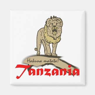 Aimant Tanzanie Godies