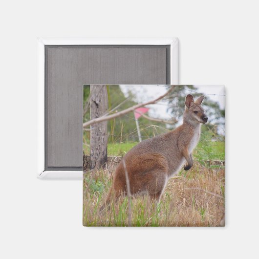 Aimant tapageuse (Recto/Verso)