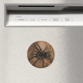 Aimant Tarantula (In Situ (Lave-vaisselle))