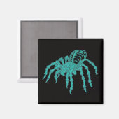 Aimant Tarantula squelettique (Recto/Verso)