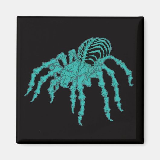 Aimant Tarantula squelettique (Devant)