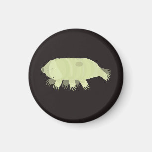 Aimant Tardigrade