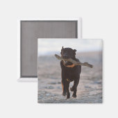 Aimant tarifs, cadix, espagne (Recto/Verso)