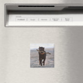 Aimant tarifs, cadix, espagne (In Situ (Lave-vaisselle))