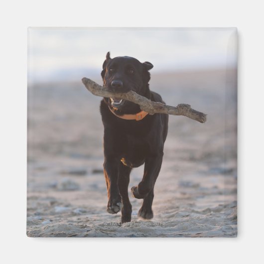 Aimant tarifs, cadix, espagne (Devant)