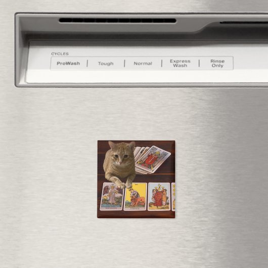 Aimant Tarot (In Situ (Lave-vaisselle))