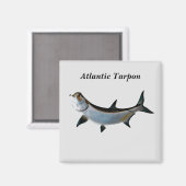 Aimant Tarpon Atlantique (Recto/Verso)