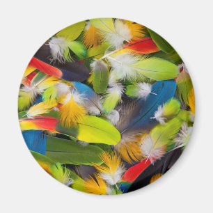 Aimant Tas de plumes colorées