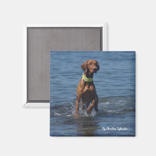 Aimant Tasha1 (Recto/Verso)