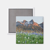 Aimant Tatoosh Range et fleurs sauvages | Mt. Rainier (Recto/Verso)
