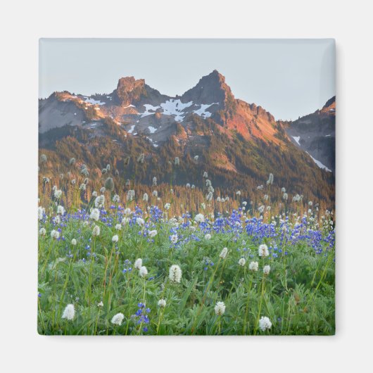 Aimant Tatoosh Range et fleurs sauvages | Mt. Rainier (Devant)