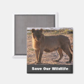 Aimant Tau Sauver notre faune (Recto/Verso)