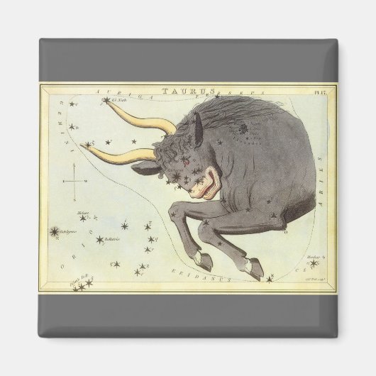Aimant Taureau, Constellation Vintage Urania's Mirror (Devant)