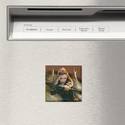 AIMANT TAURIEL™ (In Situ (Lave-vaisselle))