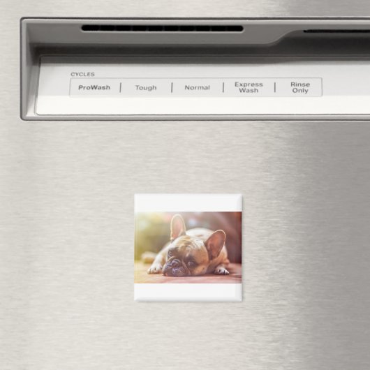 Aimant tauromachie (In Situ (Lave-vaisselle))