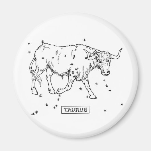 Aimant Taurus (Devant)