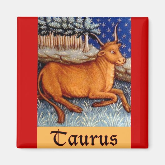 Aimant Taurus (Devant)