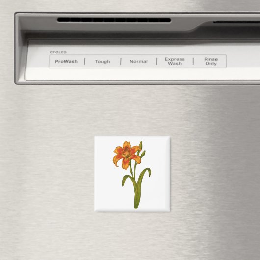 Aimant Tawny day (In Situ (Lave-vaisselle))