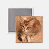 Aimant Tawny Kitty (Recto/Verso)