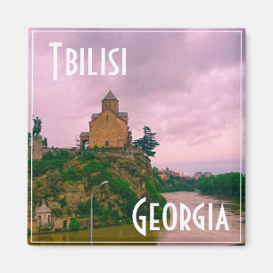 Aimant Tbilisi Georgia City View Architecture du paysage