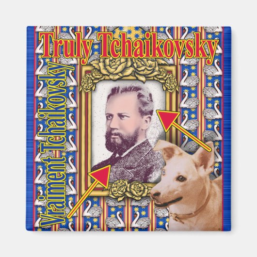 AIMANT TCHAIKOVSKY (Devant)
