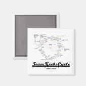 Aimant Team Krebs Cycle (Citric Acid Cycle - TCAC) (Recto/Verso)