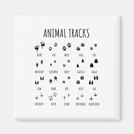 Aimant Tee Nature Explorer Empreintes Animales Pour Campi (Devant)