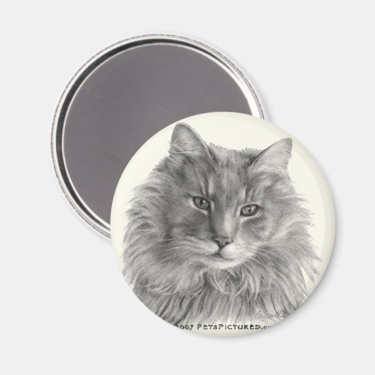 Aimant TeeGee, Chat Gris à Long Haired (Recto/Verso)