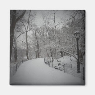 Aimant Tempête de neige, Central Park, New York City