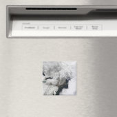 Aimant Tempête hivernale sévère (In Situ (Lave-vaisselle))