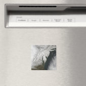 Aimant Tempête hivernale sévère 2 (In Situ (Lave-vaisselle))