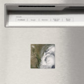 Aimant Tempête tropicale Dolly (In Situ (Lave-vaisselle))