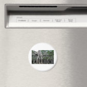 Aimant temple de ta prohm au cambodge (In Situ (Lave-vaisselle))