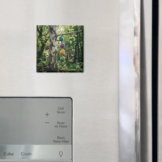 Aimant Tenir bon (In situ (réfrigérateur))