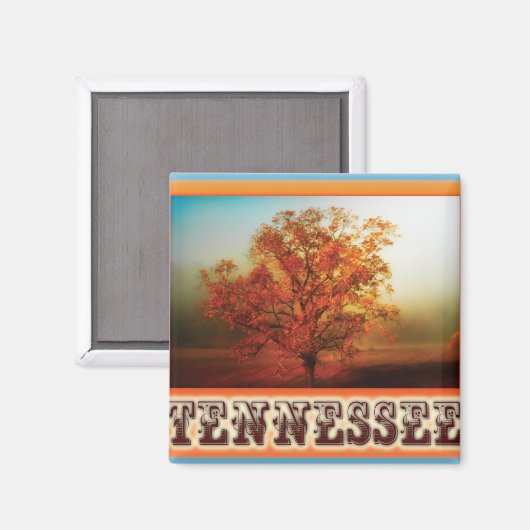Aimant Tennessee Fall Tree Scene (Recto/Verso)