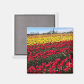 Aimant Terrain de Red & Yellow (Recto/Verso)